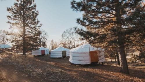Dunlap House | Cosy yurt at a nature retreat in Sequoia Forest