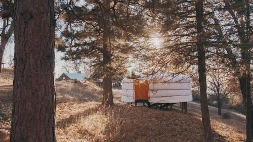 Dunlap House | Cosy yurt at a nature retreat in Sequoia Forest