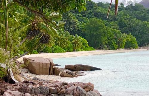 Praslin Island Apartment | Beachfront Bliss at Cote Mer Villa - Rated 9.8 by Guests