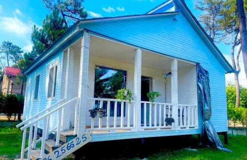 Grigoleti Apartment | Experience Cottage Ani in Grigoleti with Oceanfront Views