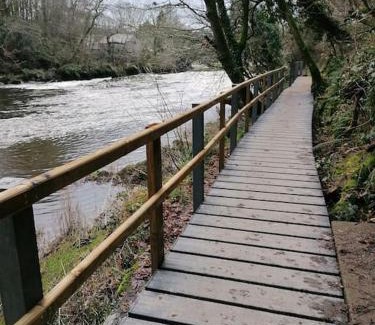 Newcastle Emlyn House | Riverside Cottage in Cenarth with Fishing & Free Wifi