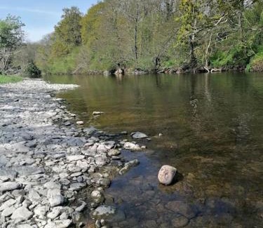 Newcastle Emlyn House | Riverside Cottage in Cenarth with Fishing & Free Wifi