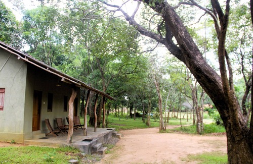 Habarana Cabin | Cozy Cottage for 2 at Eagles Wing's GuestHouse