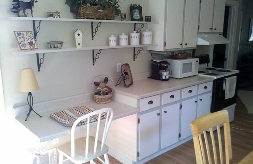 Oden Cottage | Guest Rated 9.8: Cottage Home on Crooked Lake Alanson