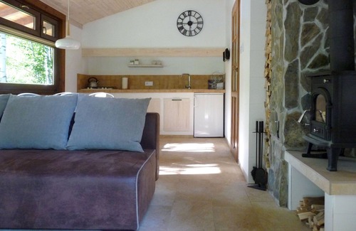 Krokowa House | Serene Cottage in Birch Forest with Spa and Hot Tub