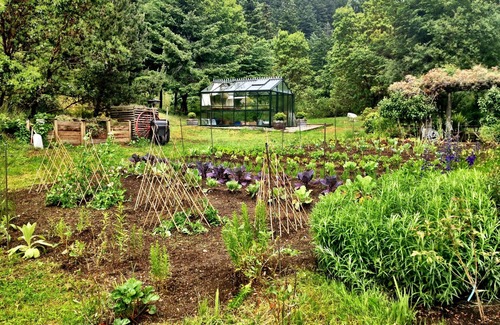 West Sound Cottage | Pet-Friendly Cottage-in-the-Barn with Ocean Views