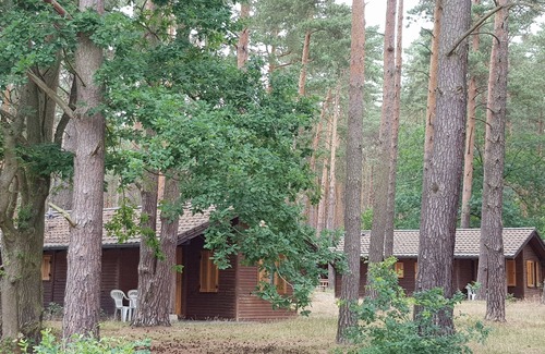 Colbitz House | Forest Retreat: Pet-Friendly Cottage with 9.6 Guest Rating