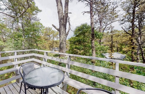North Truro Condo | Cottage in the Trees w/ 2 Decks, Fireplace & WiFi - Walk to Great Hollow Beach!