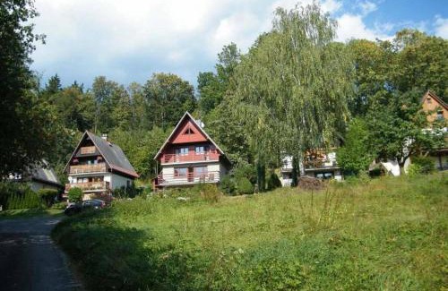 Cerny Dul Ski Chalet | Discover Cottage IRENA: Pet-Friendly Retreat in Giant Mountains