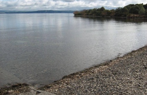 Te Rangiita Cottage | Cozy Cottage by Lake Taupo with Pool and Pet-Friendly Perks
