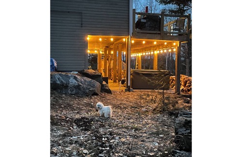 Seguin Cottage | Relaxing Cottage on Lake Jo with Hot Tub & Pet-Friendly Perks