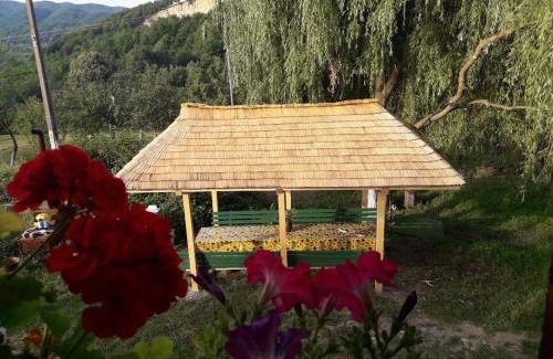 Campulung House | Pet-Friendly Cottage Poe with Ocean View & Private Beach