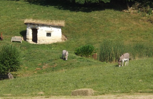 Heligan Cottage | Top-Rated Swallow Cottage with Private Bathroom & Kitchen
