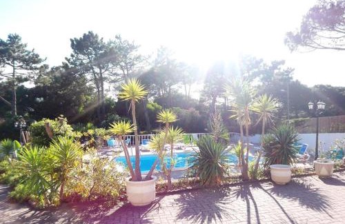 Praia das Macas Villa | Explore 7 Seas Cottage: Pet Friendly with Pool Access