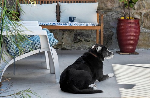 Manly Apartment | Cozy Cottage-Style Retreat Steps from Manly Beach