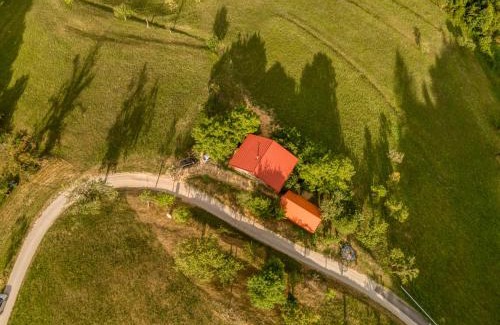 Zalec Apartment | Forest Retreat: The Sunny Hill - Child-Friendly Getaway