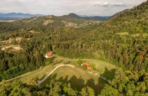 Zalec Apartment | Forest Retreat: The Sunny Hill - Child-Friendly Getaway