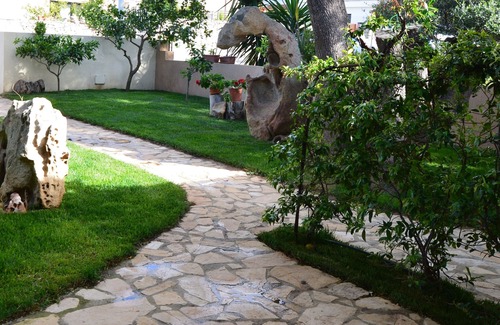 Arzachena House | Discover Cottage The Olive Trees: Cozy Studio with Garden