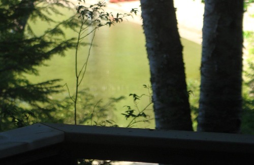 Cherryfield Cottage | Beachfront Cottage with Lake Views Near Acadia NP - Rated 10/10