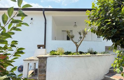 Diber County House | Pet-Friendly Countryside Holiday Villa with 10/10 Guest Rating