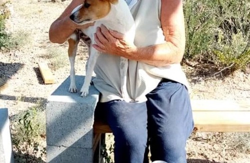 Van Horn House | Relaxing Desert Garden Oasis Near Van Horn - Pet Friendly