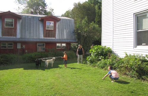 Meadows Of Dan Cabin | Country charm with fresh mountain air, lake amenities