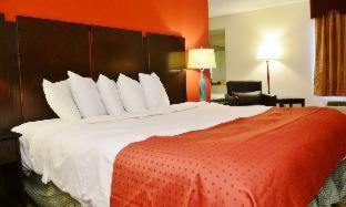 Kenton Hotel | Pet-Friendly Retreat at Country Hearth Inn & Suites Kenton