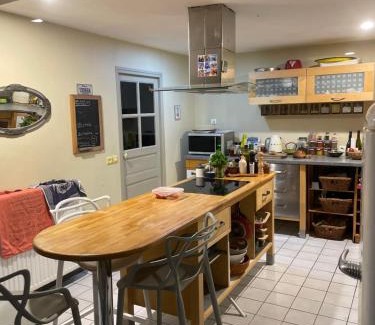 La Chapelle-Blanche Villa | country house with pool