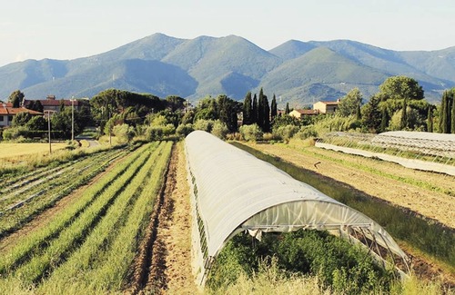 Cascina House | Country house near Pisa
