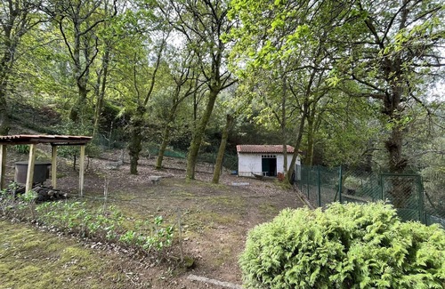 Valenca Cottage | Country house with swimming pool in Valença!