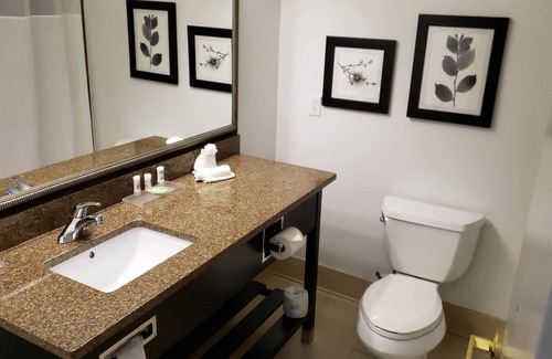Braden River Hotel | Discover Country Inn & Suites: Family-Friendly Retreats