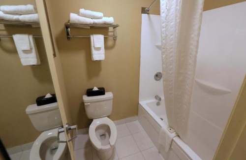 Toddville Road Hotel | Family-Friendly Getaway at Country Inn & Suites Charlotte