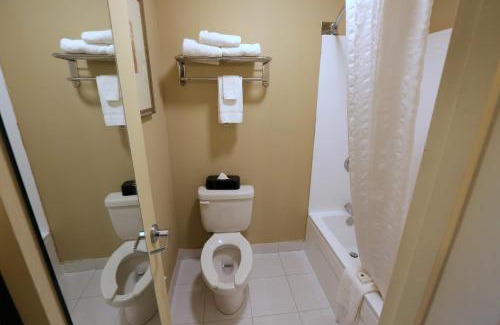 Toddville Road Hotel | Family-Friendly Getaway at Country Inn & Suites Charlotte
