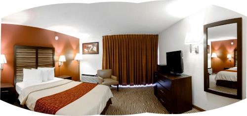 Erlanger Hotel | Pet-Friendly Retreat at Country Inn & Suites, Erlanger