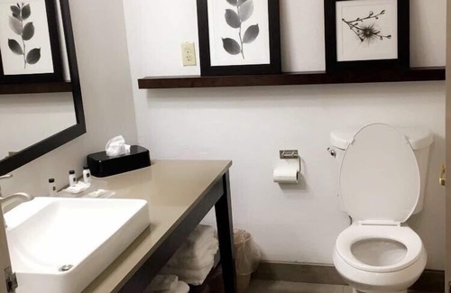 Southport Hotel | Comfortable Stay at Country Inn & Suites, Indianapolis South