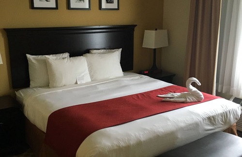 Port Orange Hotel | Guest Favorite: Country Inn & Suites, Port Orange-Daytona