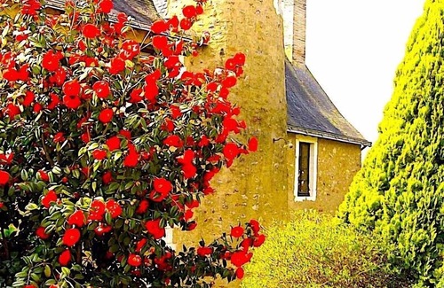 Saint-Brice House | Country Manor. 50 min. West from Le Mans track. Sleeping 12-18. Pool & tennis.