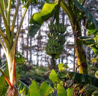 Onerahi House | Idyllic Country Nirvana with Fireplace & Hot Tub Amenities