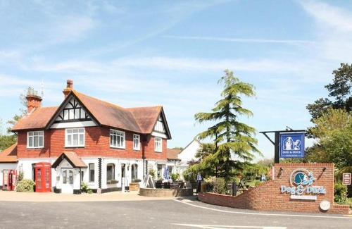 Stourmouth Ski Chalet | Pet-Friendly Countryside Holiday Park by the River Near Canterbury