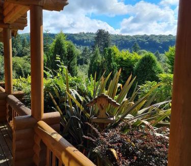 Aymestrey Apartment | Inviting Beech Log Cabin with Hot Tub and Family Amenities
