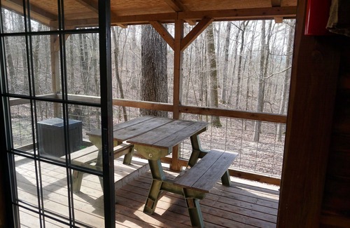 Bismarck Cabin | Relaxing Family Getaway with Hot Tub & Mountain Views