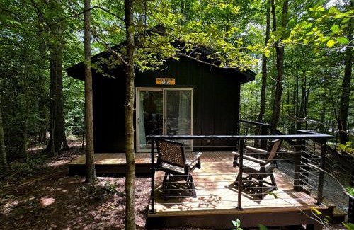 Balsam Grove Other | Cozy Cabin Escape at Bearly Behaving Pisgah Retreat