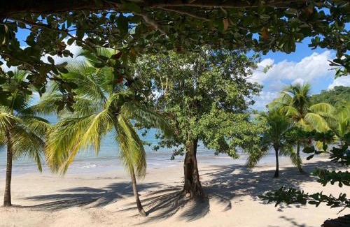 Trois-Ilets Apartment | Experience Oceanfront Comfort at Courbaril Village