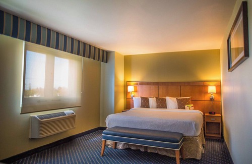 Maleza Baja Hotel | Discover Courtyard by Marriott Aguadilla with Pool & Spa