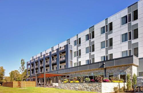 Appleton Hotel | Pet-Friendly Courtyard by Marriott Appleton Riverfront Awaits