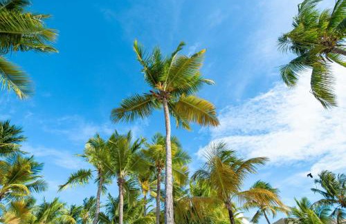Isla Verde Resort | Relax at Courtyard by Marriott Isla Verde Beach Resort
