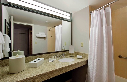 Lyndhurst Hotel | Eco-Friendly Comfort at Courtyard by Marriott Lyndhurst