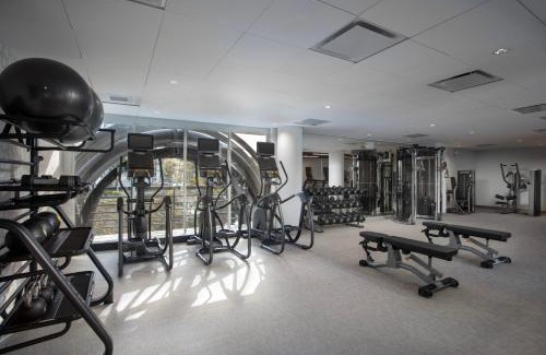 Little Italy Hotel | Pet-Friendly DoubleTree by Hilton San Diego Downtown Retreat