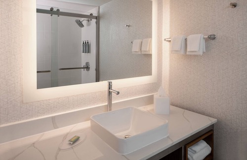 Coral Gables Section Hotel | Stylish Courtyard Miami in Coral Gables with Pool & Spa