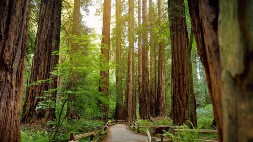 Burlingame Hotel | Discover Courtyard San Francisco Airport Burlingame Today!